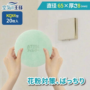 _ KtB^[ r[ł܂L^ a 65 ×  8 CtB^[ QX4 20 C C zC C C zC tB^[ PM2.5 R RECX hJr L tȒP 