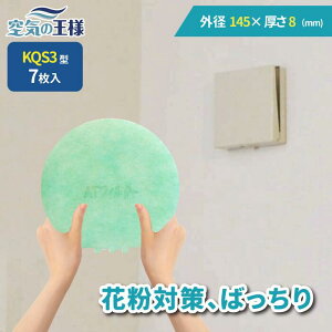 y16|Cg10{z _ KtB^[ r[ł܂L^ a 145 ×  8 CtB^[ QS3 7 C C zC C C zC tB^[ PM2.5 R RECX 