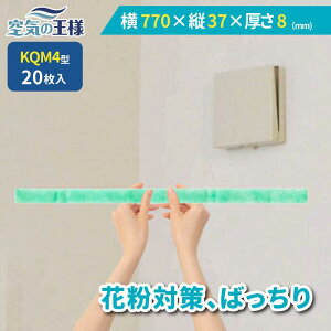 _ KtB^[ r[ł܂L^  770 × c 37 ×  8 CtB^[ QM4 20 C C zC C C zC tB^[ PM2.5 R RECX hJr L t