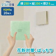 ＼最大20%OFFクーポン／ ＼ 給気口フィルター ★レビューでおまけ有／ 横 250 × 縦 250 × 厚さ 8 換気…