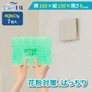 y16|Cg10{z _ KtB^[ r[ł܂L^  180 × c 150 ×  8 CtB^[ QN17 7 C C zC C C zC tB^[ PM2.5 R REC