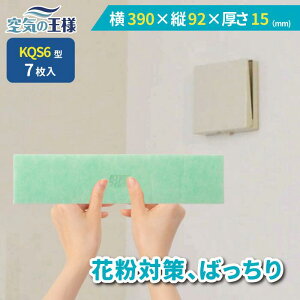 y11|Cg10{z _ KtB^[ r[ł܂L^  390 × c 92 ×  15 CtB^[ QS6 7 C C zC C C zC tB^[ PM2.5 R REC