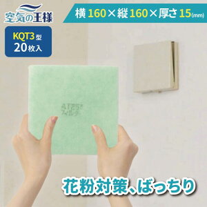 y24|Cg10{z _ KtB^[ r[ł܂L^  160 × c 160 ×  15 CtB^[ QT3 20 C C zC C C zC tB^[ PM2.5 R RE