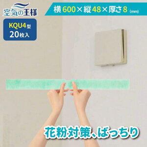 _ KtB^[ r[ł܂L^  600 × c 48 ×  8 CtB^[ QU4 20 C C zC C C zC tB^[ PM2.5 R RECX hJr L t