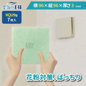 y24|Cg10{z _ KtB^[ r[ł܂L^  96 × c 96 ×  3 CtB^[ QU9 7 C C zC C C zC tB^[ PM2.5 R REC