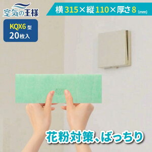 y11|Cg10{z _ KtB^[ r[ł܂L^  315 × c 110 ×  8 CtB^[ QX6 20 C C zC C C zC tB^[ PM2.5 R REC