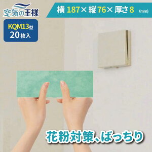 y11|Cg10{z _ KtB^[ r[ł܂L^  187 × c 76 ×  8 CtB^[ QM13 20 C C zC C C zC tB^[ PM2.5 R REC