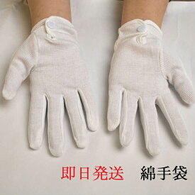 助言 ベーリング海峡 トリクル 子供 用 綿 手袋 Tera Coya Jp