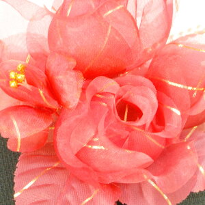 *cp*t[RT[WiIWEsNEzCgEbhEu[jFSW223SW224iP[XjyEIEƎEwElzy[֕sz