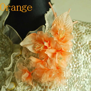 cp t[RT[WiIWjFC160-OR TUJ̋iP[XjyEIEƎEwElz F fB[X wl tH[} 畞p X[cp hX