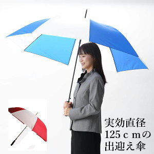 y110{zGꂸɏ 傫o}P Wv StP 10{1Zbg MJ4100110ia125cmjyJ[  or z^b`JP 傫TCY jp  P o}