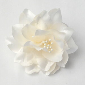 cp t[RT[W :R655 iP[XjyEIEƎEwElzy[֕sz fB[X wl 畞 tH[} p[eB[ T Cgx[W 