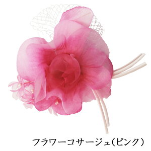 *cp*t[RT[WisNjFC170-Pi PVԕ̋iP[XjyEIEƎEwElz