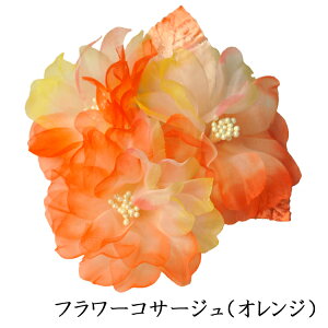 *cp*t[RT[WiIWEu[EzCgjFSW231232233 iP[XjyEIEƎEwElzy[֕sz