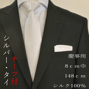 ycpzVN100̂Vo[F̑匕8cm`[ttlN^C jn047  jꎮ