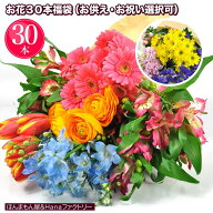 切り花 福袋 30本 送料無料 用途が選べる 用途選べる切り花福袋30本 【JF】 [季節切花福袋]