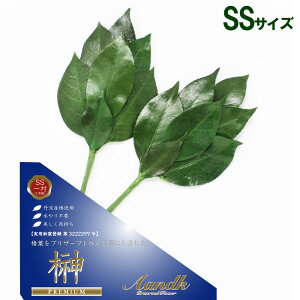 vU uv~AvU[uh  SSTCY ΁v  䋟   l\ @v  V ~ ފ A&KyAKz[SKK-007SS]