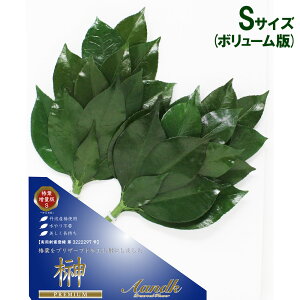 vU uv~AvU[uh  STCY({[Abv) ΁v  䋟   l\ @v  V ~ ފ A&KyAKz[SKK-008SV]