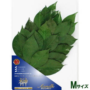 vU uv~AvU[uh  MTCY ΁v  䋟   l\ @v  V ~ ފ A&KyAKz[SKK-004PM]