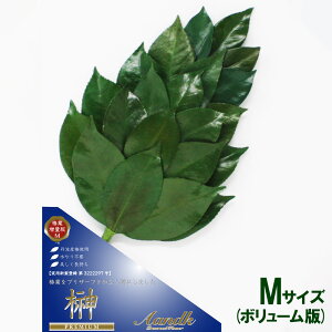 vU uv~AvU[uh  MTCY({[Abv) ꑩv  䋟   l\ @v  V ~ ފ A&KyAKz[SKK-006PV]