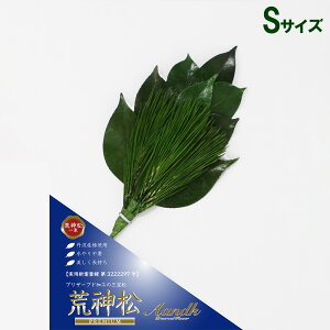 vU uv~AvU[uh r_ STCYv  䋟   l\ @v  V ~ ފ A&KyAKz[KJM-004PS]