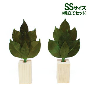 vU u 嗧ăZbg SSTCYv  䋟   l\ @v  V ~ ފ A&KyAKz[ST-001]