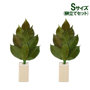 vU u 嗧ăZbg STCYv  䋟   l\ @v  V ~ ފ A&KyAKz[ST-002]