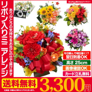 Hanaファクアレンジ(お祝い系)