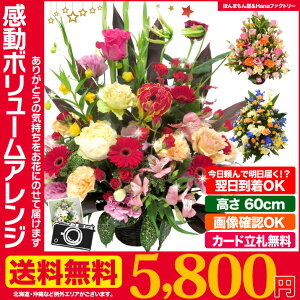【送料無料お悩み無用】感動ボリュームアップアレンジ