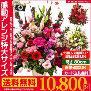 【送料無料お悩み無用】感動ボリュームアップアレンジ