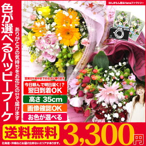 【送料無料/コミコミ3000円】お色が選べる◆幸せ贈る春のハッピーブーケ