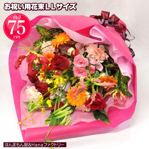 a JXj  ސE  w  j j    J  Mtg ԑ u[P LLTCY  v[g pMtg{bNX y [ԑLLTCY] 75cm y
