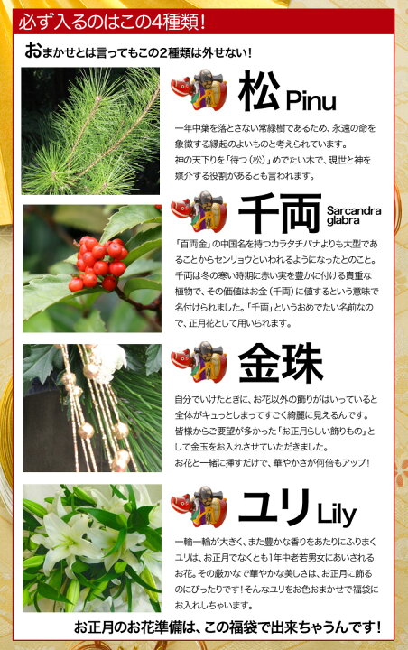楽天市場 お正月 新年 正月飾り 迎春 送料無料 生花 切り花 福袋 40本 あす楽 特盛 12 21 12 30の間で日時指定ok 翌日お届け 当日出荷 正午まで 21 ｈａｎａファクトリー
