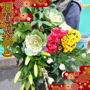    VN  }t   ؂  40{ y ͂12/21`12/30̂ o ͂ 2023 p؂ԕ40{