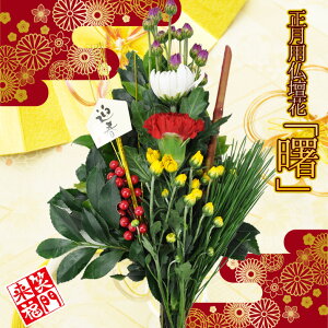    叼 VN  }t  d̉  y ͂12/26`12/31̂ 2024 [}tpԁuv] yJFz