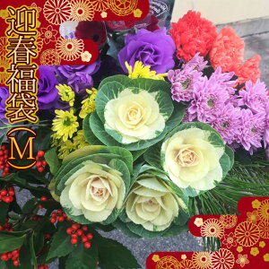 }t   ԏ  ؂ ؉  30{ ͂12/2112/30̂ 2025p؂ԕ30{