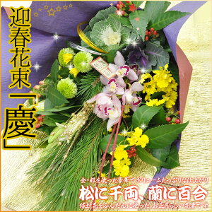    VN  }t   ԑ u[P TCY y ͂12/26`12/31̂ 2024 [}tpԑ ucv] yJFz