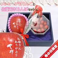 【早割中!】母の日 ギフト さくらんぼ 佐藤錦 & メッセージ付 りんご 1玉入 花 シルクフラワーカーネーシ…