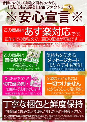 Hanaファクアレンジ(お祝い系)