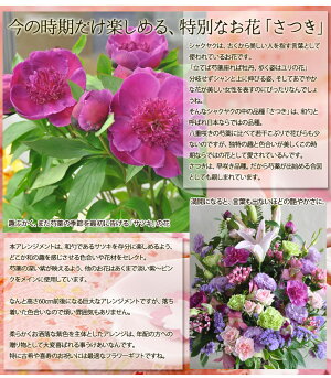 楽天市場 送料無料 シャクヤク 芍薬 さつき の花かご 特大 期間限定 フラワーアレンジメント hanaファクトリー 楽天市場 送料無料 シャクヤク 芍薬 さつき の花かご 特大 期間限定 フラワーアレンジメント hanaファクトリー