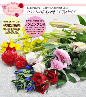 楽天市場 誕生日 お供え 敬老の日 秋の切り花 福袋 小 送料無料 午前中の注文で あす楽 Ok お供え お祝い 用途が選べる あす楽 正午まで ｈａｎａファクトリー