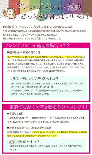 送料についての大事なお知らせ