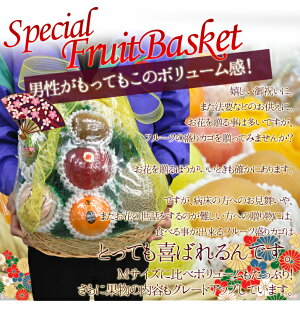 フルーツバスケットL
