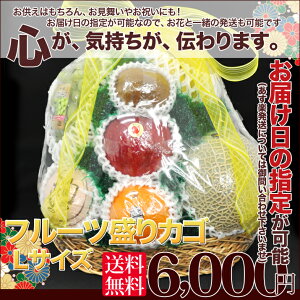 フルーツバスケットL