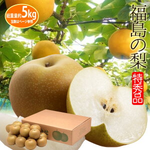 店長激オシ送料無料!甘い果汁たっぷり!福島県産「梨」5kg(14〜18玉)