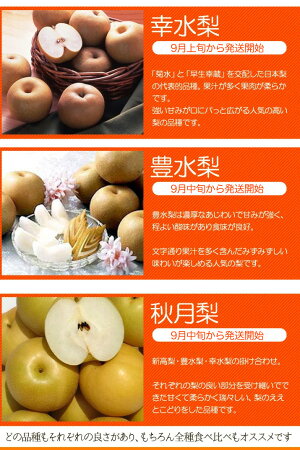 店長激オシ送料無料!甘い果汁たっぷり!福島県産「梨」5kg(14〜18玉)