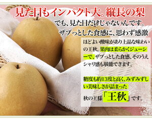 店長激オシ送料無料!!みずみずしいおいしさが詰まった秋の王様「王秋梨」5kg