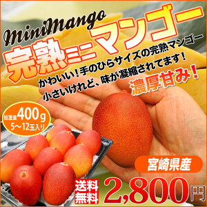店長激オシ!手のひらサイズの完熟マンゴー「ミニマンゴー」
