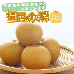 yoג!zY i탊[ K L ʐ Ñ H 6 8 12 24~32ʓ  2 ~10 kg P[X̔ ƒp p łg͖AȂ Ȃ iV ԗ a ʕ t[c