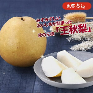 yoג!!zP[X  H イȂ Ȃ iV 5kg  a ԗ t[c ʕ  p ƒp ܂Ƃߔ 󂠂  yBOz[HiP[Xj5kg]